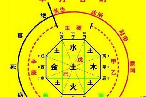 用神意思|八字用神详解之如何取用神（详细）